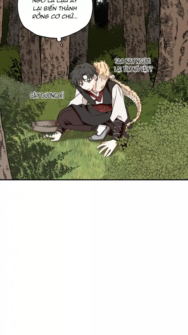 đọc truyện Dưới Tán Hoa Liên Kiều Chương 6.5 ảnh 30 tại Thiên Thai Truyện