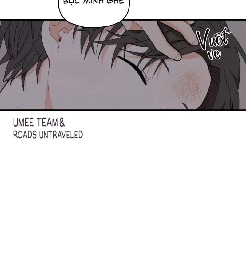 đọc truyện Dưới Tán Hoa Liên Kiều Chương 6 ảnh 24 tại Thiên Thai Truyện