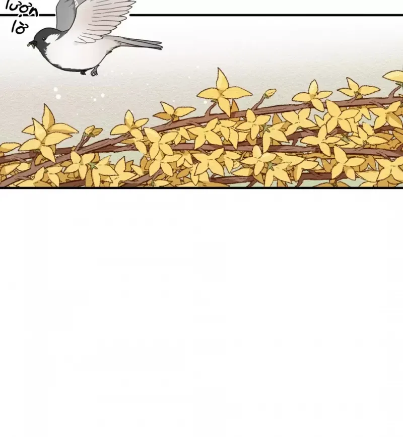 đọc truyện Dưới Tán Hoa Liên Kiều Chương 6 ảnh 33 tại Thiên Thai Truyện