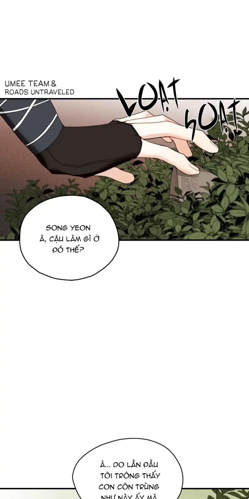 đọc truyện Dưới Tán Hoa Liên Kiều Chương 7 ảnh 13 tại Thiên Thai Truyện