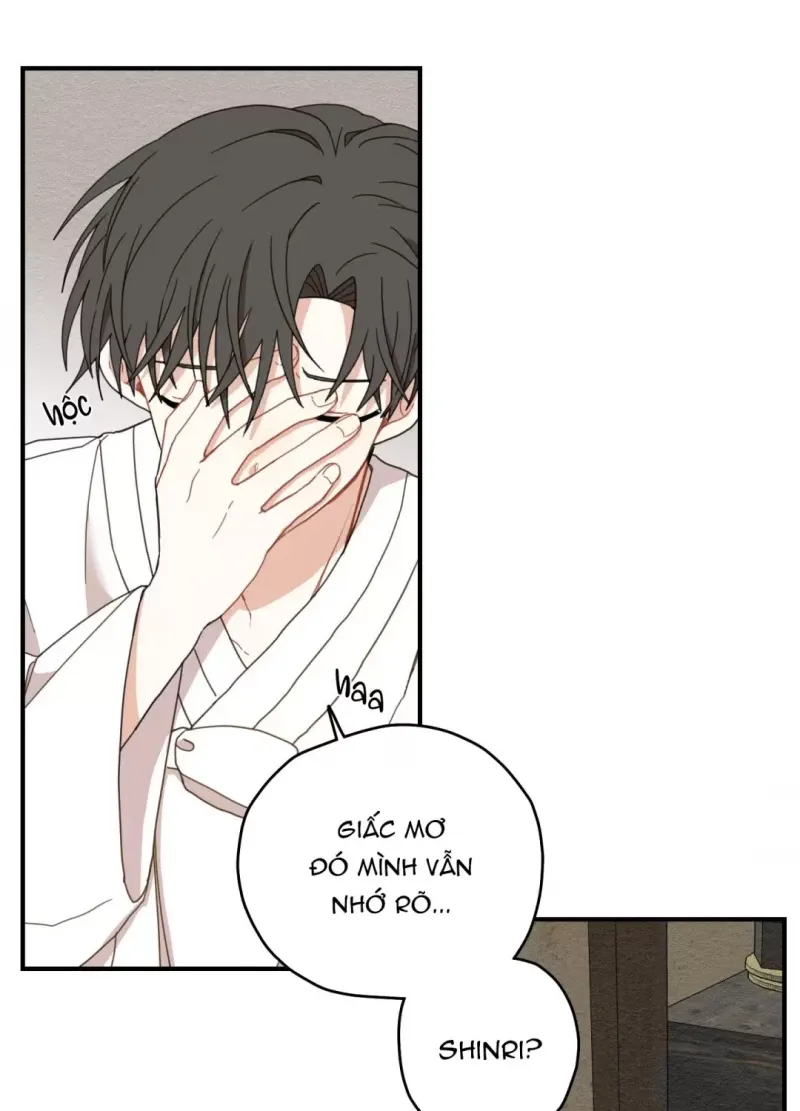 đọc truyện Dưới Tán Hoa Liên Kiều Chương 8.5 ảnh 13 tại Thiên Thai Truyện