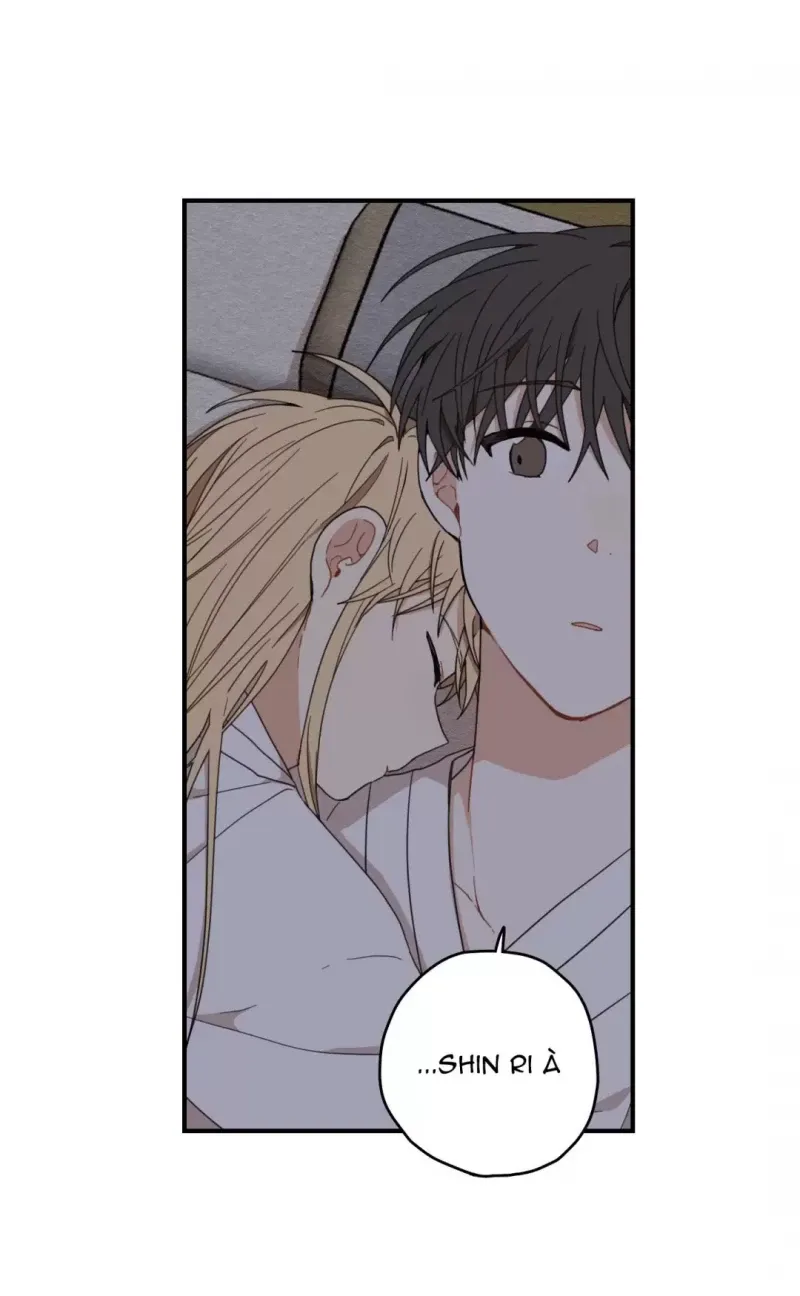 đọc truyện Dưới Tán Hoa Liên Kiều Chương 8 ảnh 13 tại Thiên Thai Truyện