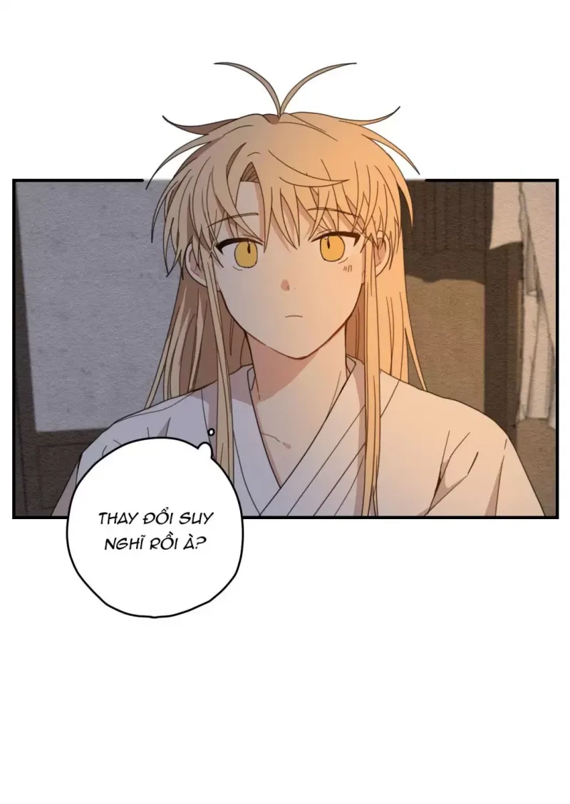 đọc truyện Dưới Tán Hoa Liên Kiều Chương 8 ảnh 18 tại Thiên Thai Truyện