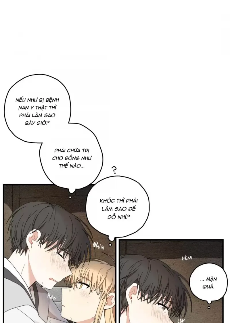 đọc truyện Dưới Tán Hoa Liên Kiều Chương 9.5 ảnh 14 tại Thiên Thai Truyện