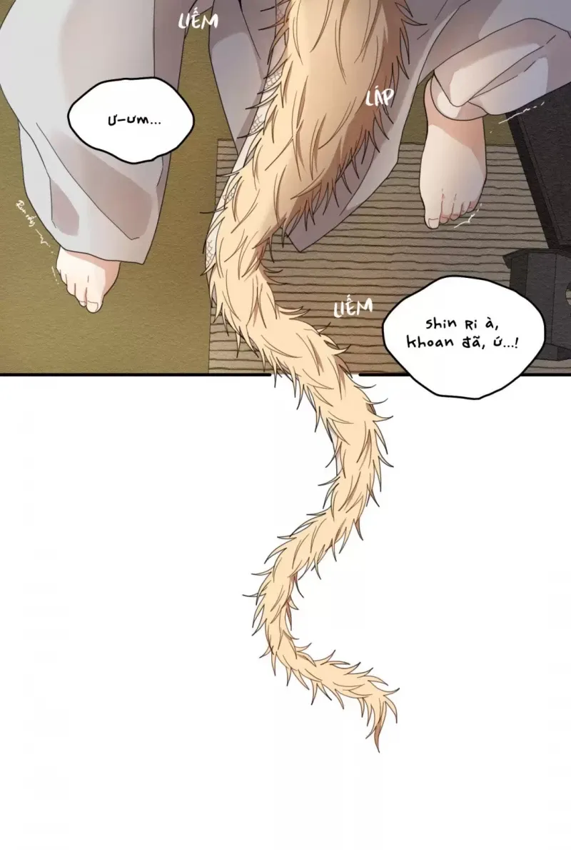 đọc truyện Dưới Tán Hoa Liên Kiều Chương 9.5 ảnh 16 tại Thiên Thai Truyện