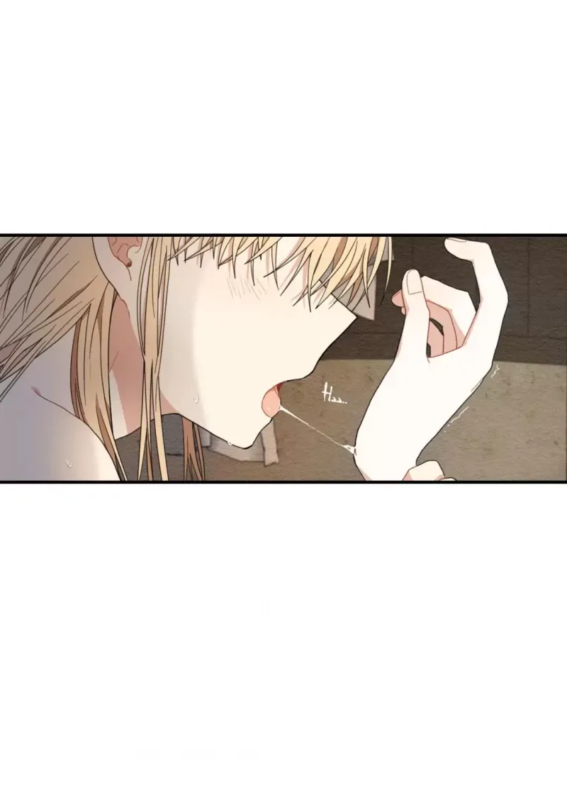 đọc truyện Dưới Tán Hoa Liên Kiều Chương 9.5 ảnh 7 tại Thiên Thai Truyện