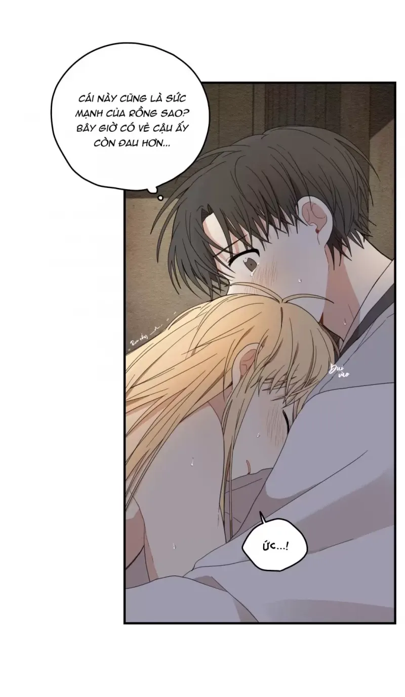 đọc truyện Dưới Tán Hoa Liên Kiều Chương 9.5 ảnh 11 tại Thiên Thai Truyện