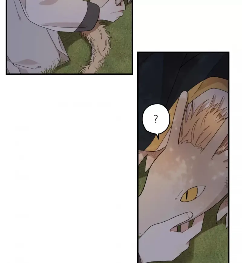 đọc truyện Dưới Tán Hoa Liên Kiều Chương 9 ảnh 13 tại Thiên Thai Truyện