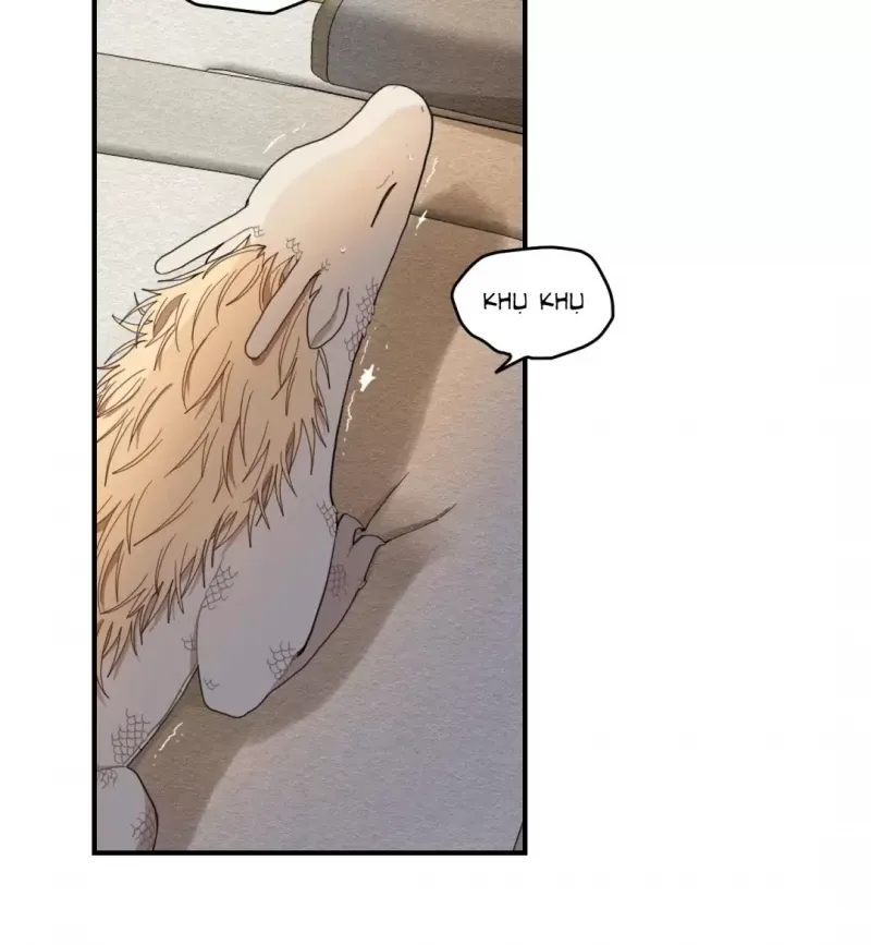 đọc truyện Dưới Tán Hoa Liên Kiều Chương 9 ảnh 23 tại Thiên Thai Truyện