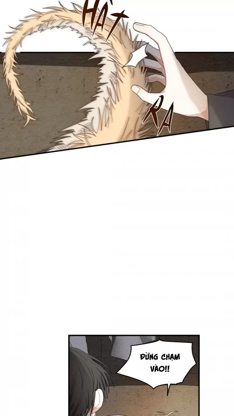 đọc truyện Dưới Tán Hoa Liên Kiều Chương 9 ảnh 28 tại Thiên Thai Truyện