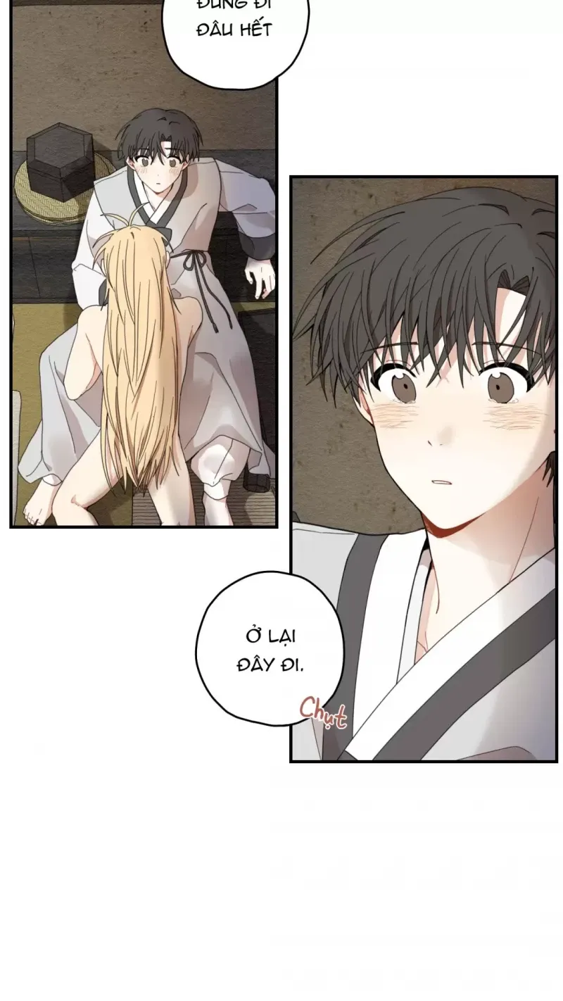 đọc truyện Dưới Tán Hoa Liên Kiều Chương 9 ảnh 41 tại Thiên Thai Truyện