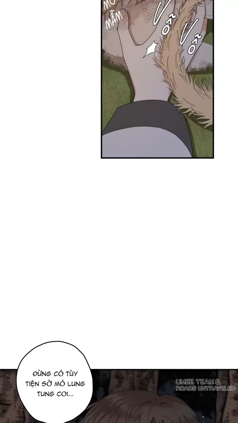 đọc truyện Dưới Tán Hoa Liên Kiều Chương 9 ảnh 7 tại Thiên Thai Truyện