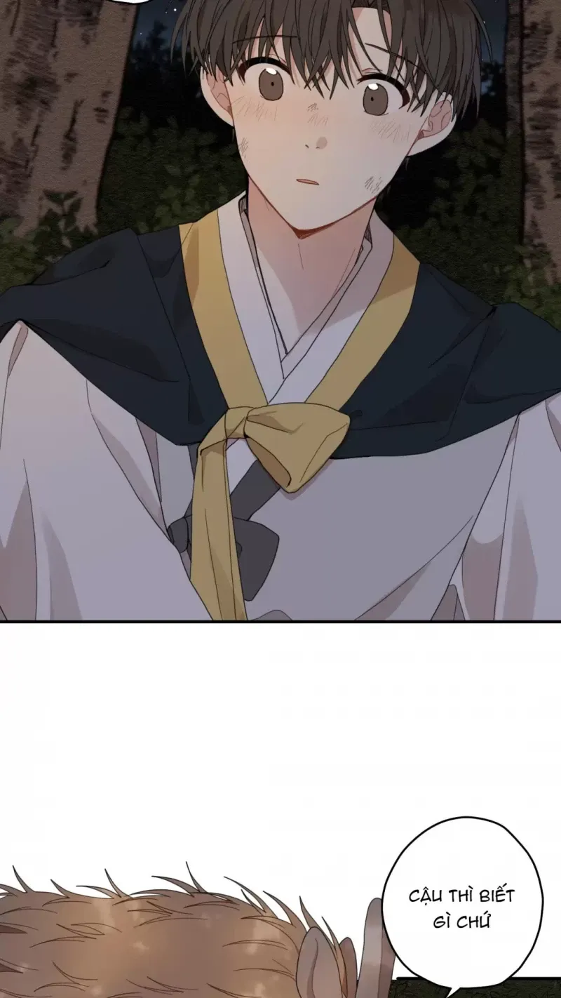 đọc truyện Dưới Tán Hoa Liên Kiều Chương 9 ảnh 8 tại Thiên Thai Truyện