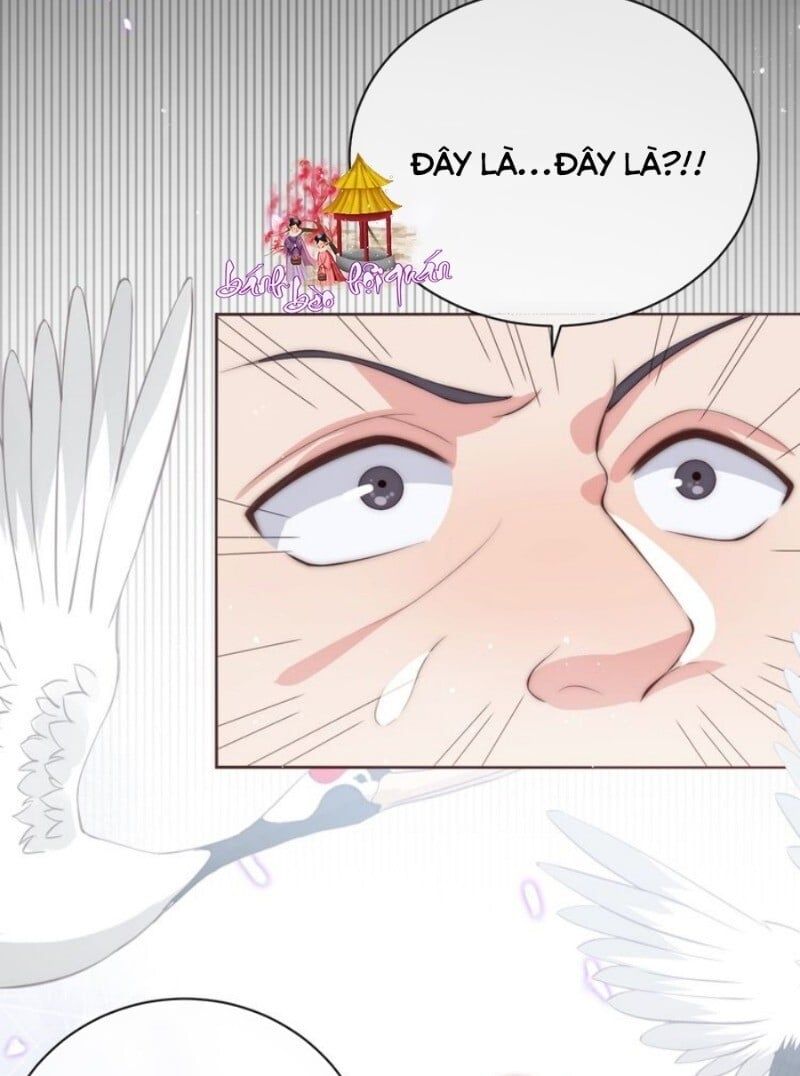 đọc truyện Dưỡng Địch Vi Hoạn Chương 25 ảnh 33 tại Thiên Thai Truyện