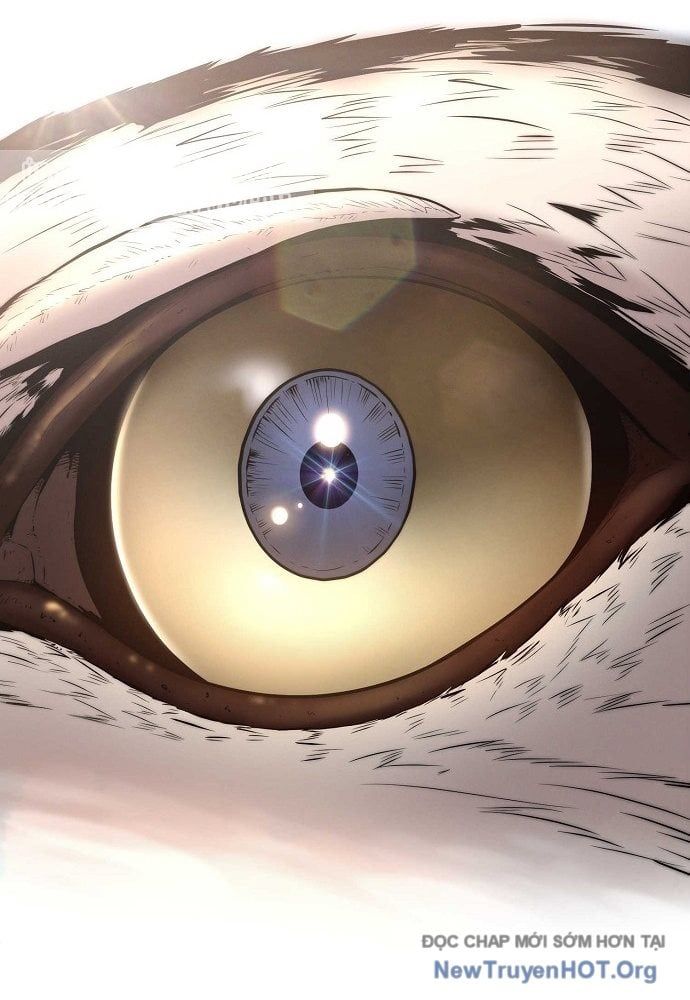 đọc truyện Đường Môn Truyền Kỳ Chương 1 ảnh 5 tại Thiên Thai Truyện