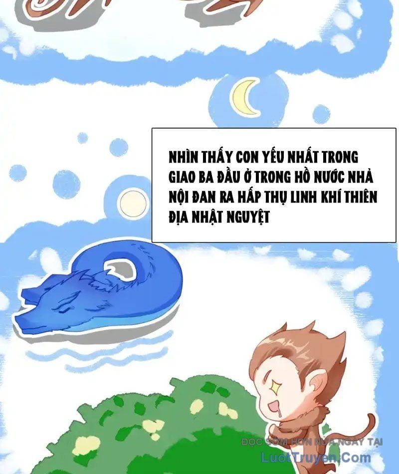 đọc truyện Duy Ngã Độc Tiên Chương 112 ảnh 35 tại Thiên Thai Truyện