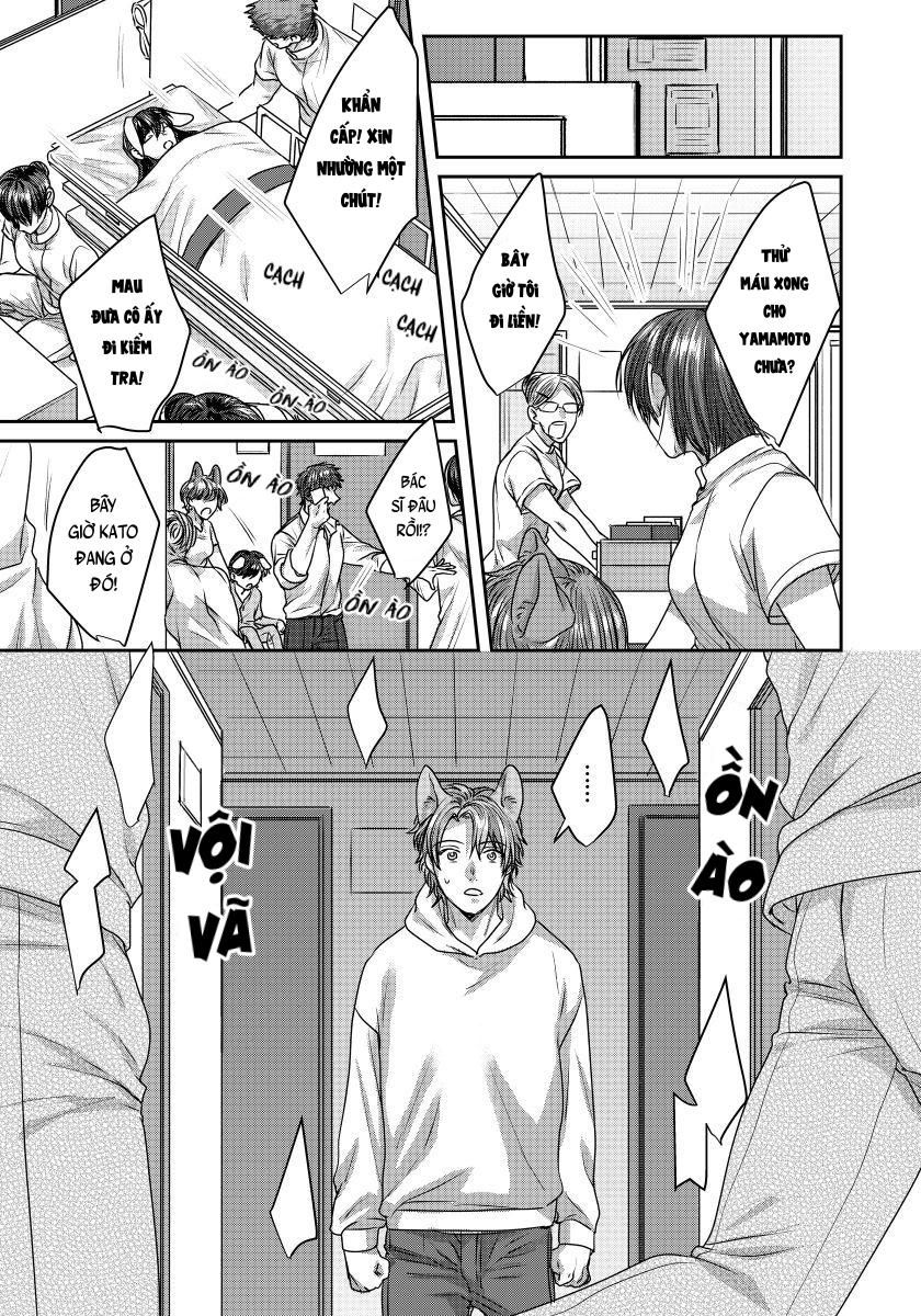 đọc truyện Ecchi Otetsudai Inu No Seichou Kiroku Chương 2 ảnh 14 tại Thiên Thai Truyện