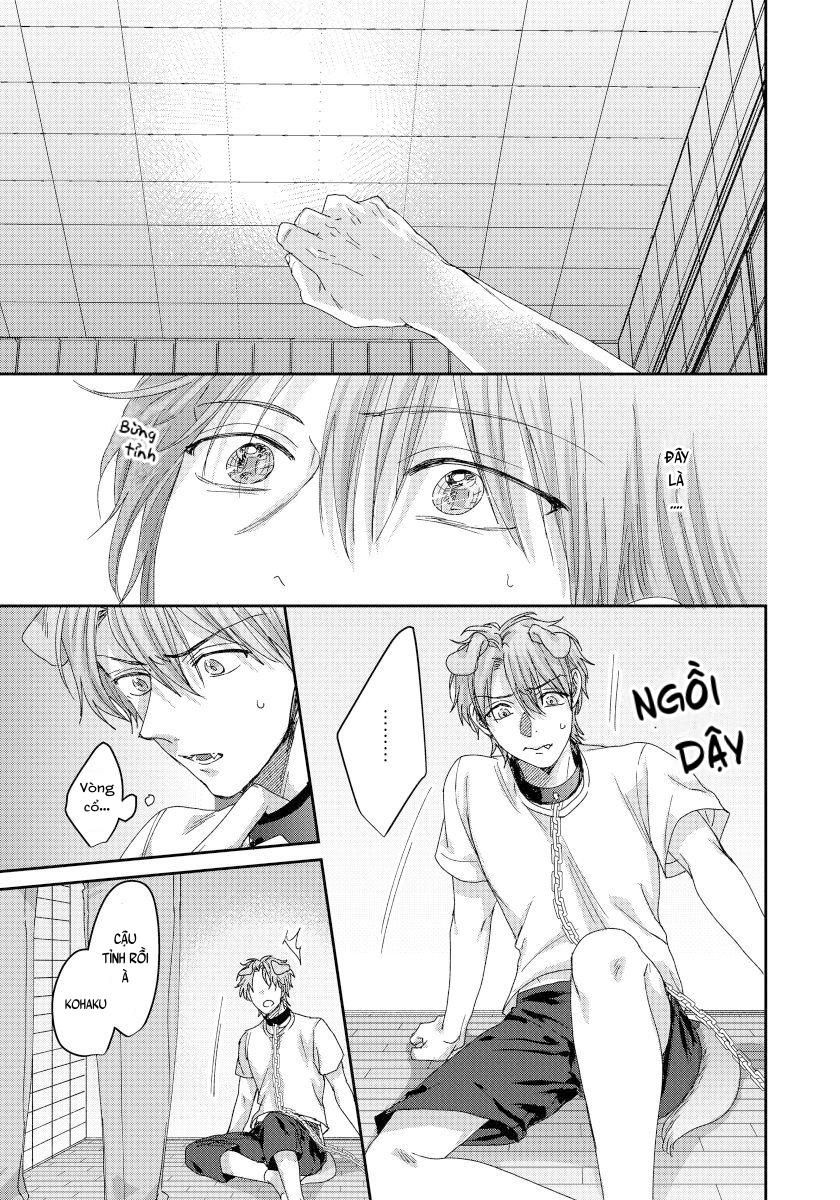 đọc truyện Ecchi Otetsudai Inu No Seichou Kiroku Chương 4 ảnh 8 tại Thiên Thai Truyện