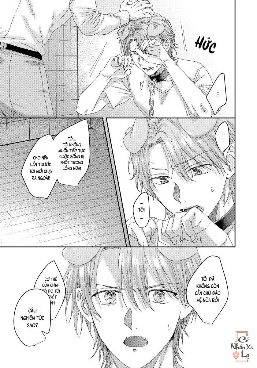đọc truyện Ecchi Otetsudai Inu No Seichou Kiroku Chương 4 ảnh 10 tại Thiên Thai Truyện