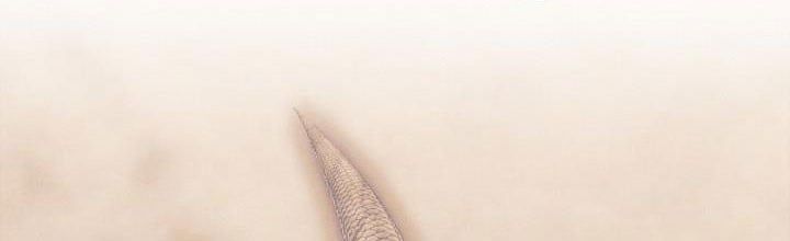 đọc truyện Em Ấy Muốn Trở Thành Chồng Của Tôi Chương 33.5 ảnh 68 tại Thiên Thai Truyện