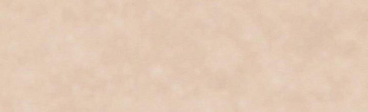 đọc truyện Em Ấy Muốn Trở Thành Chồng Của Tôi Chương 33.5 ảnh 90 tại Thiên Thai Truyện