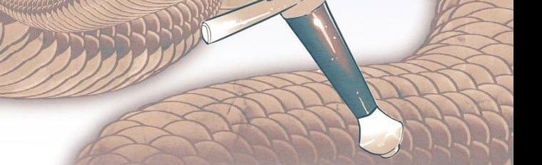 đọc truyện Em Ấy Muốn Trở Thành Chồng Của Tôi Chương 33 ảnh 17 tại Thiên Thai Truyện