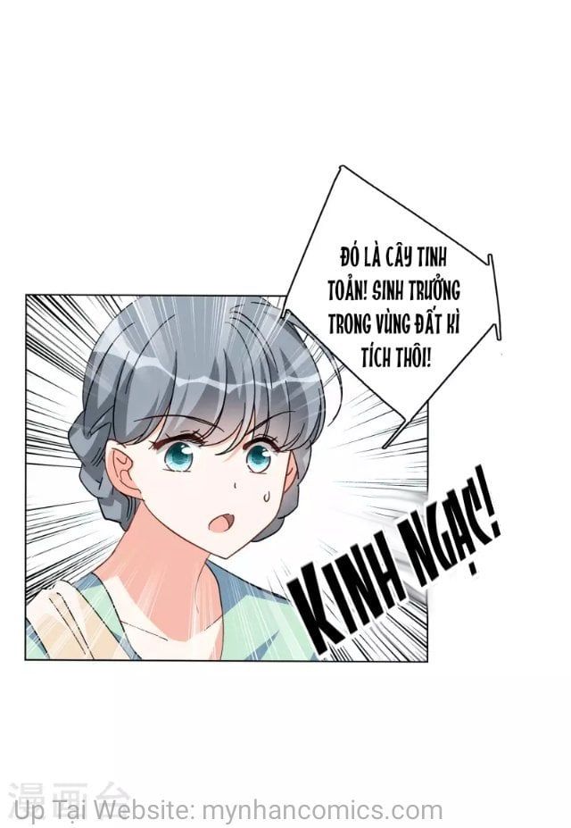 đọc truyện Em Đến Đây, Mời Nằm Xuống Chương 135 ảnh 6 tại Thiên Thai Truyện