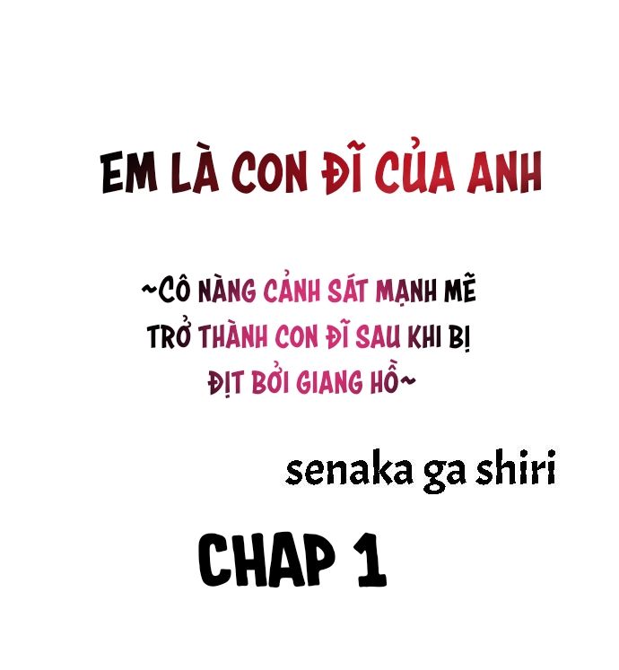 đọc truyện Em Là Con Đĩ Của Anh Chương 1 ảnh 2 tại Giả Dược