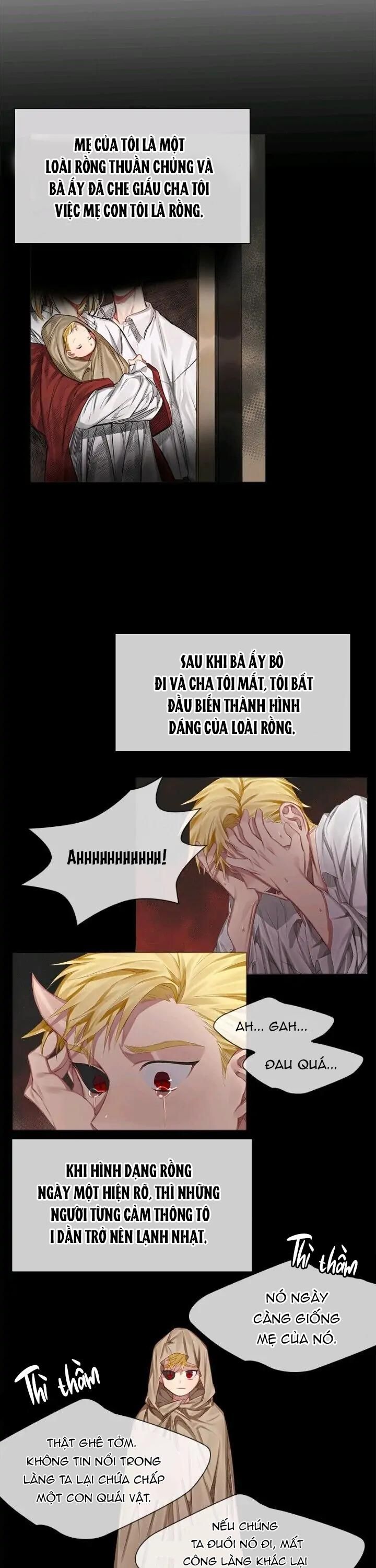 đọc truyện [end] Chàng Hiệp Sĩ Và Rồng Vàng Chương 2 ảnh 5 tại Thiên Thai Truyện