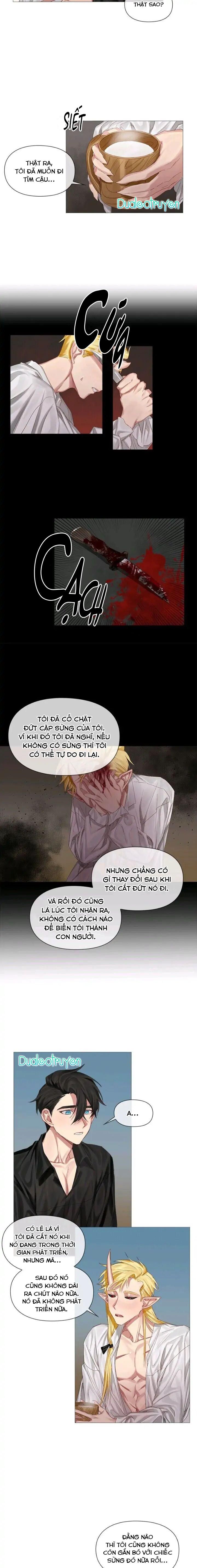 đọc truyện [end] Chàng Hiệp Sĩ Và Rồng Vàng Chương 4 ảnh 6 tại Thiên Thai Truyện