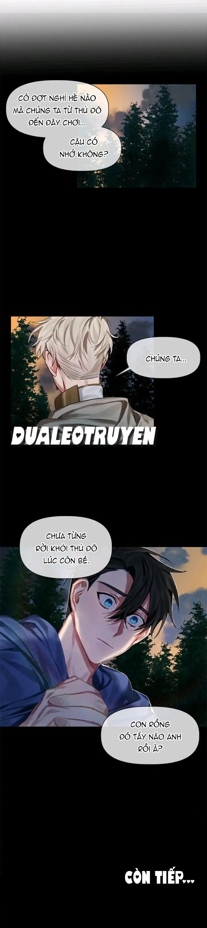 đọc truyện [end] Chàng Hiệp Sĩ Và Rồng Vàng Chương 9 ảnh 13 tại Thiên Thai Truyện