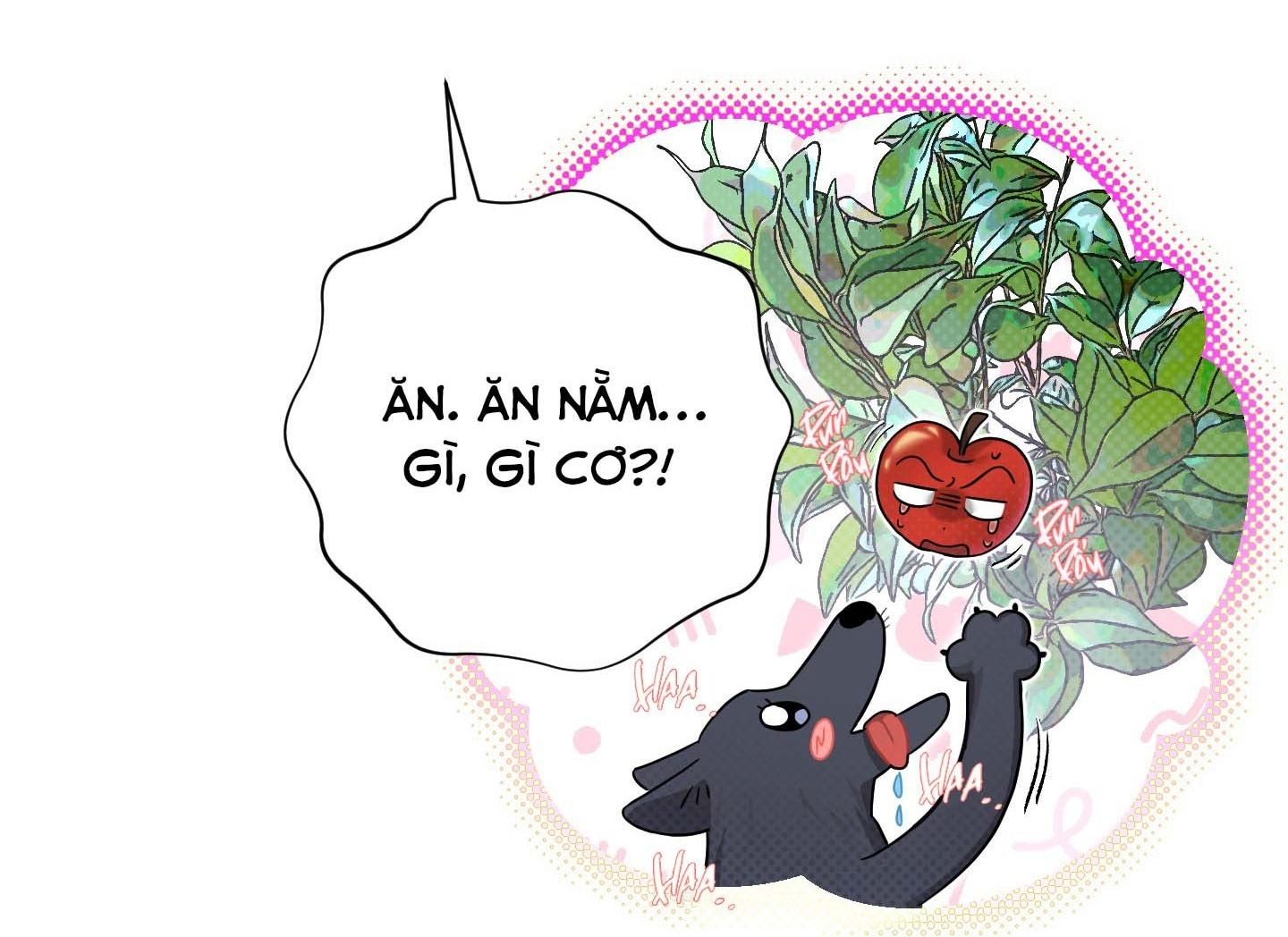 đọc truyện (end) Giáo Xuyên Thủng Khiên Chương 4 ảnh 5 tại Thiên Thai Truyện