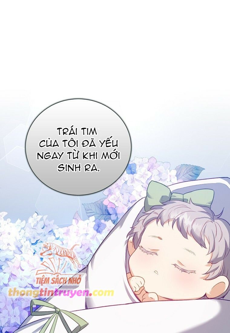 đọc truyện [end Ss1] Chỉ Nhận Thức Được Sau Khi Mất Em Chương 22 ảnh 20 tại Giả Dược