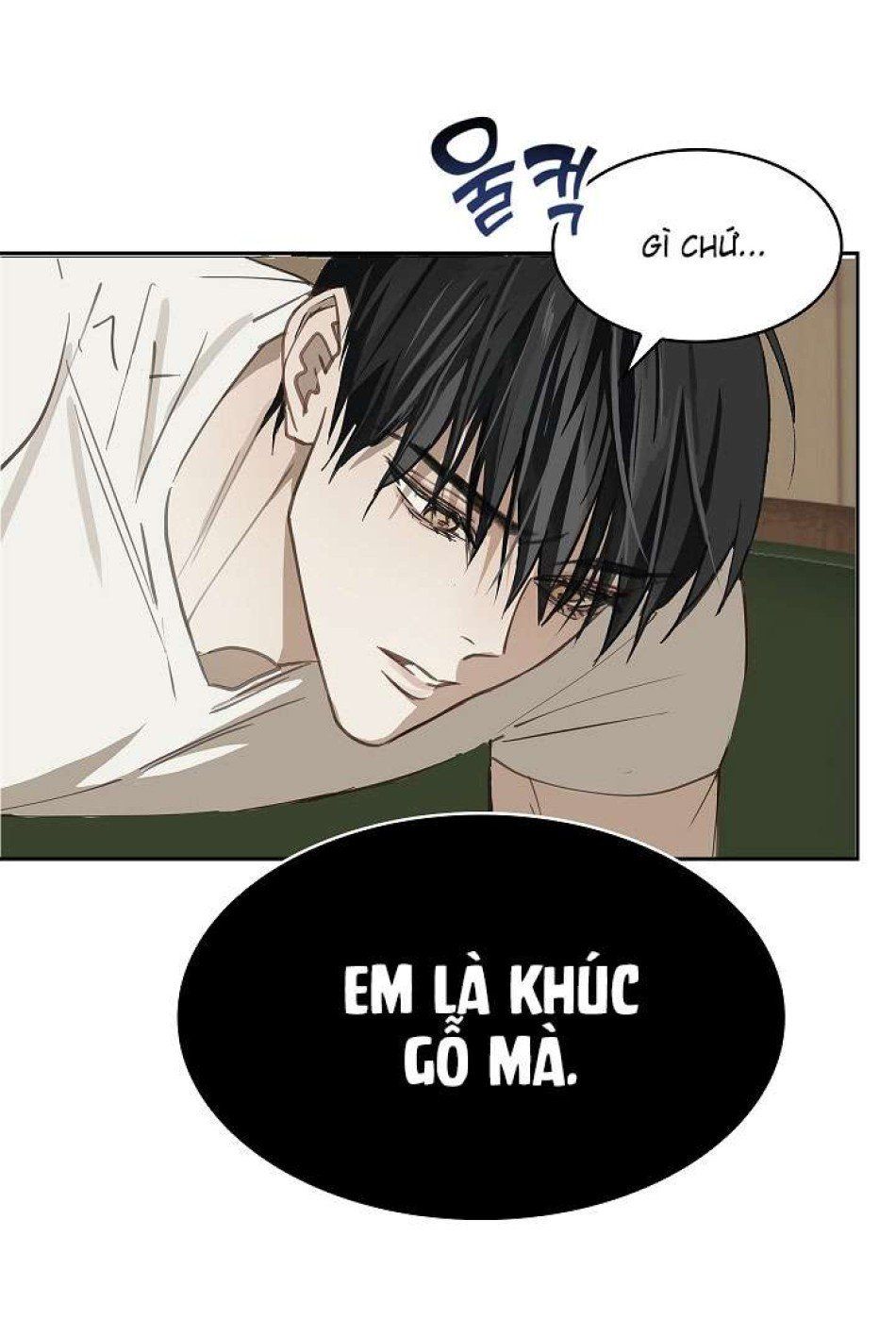 đọc truyện [end Ss1] Đóa Hoa Là Mồi Nhử Chương 20 ảnh 9 tại Giả Dược