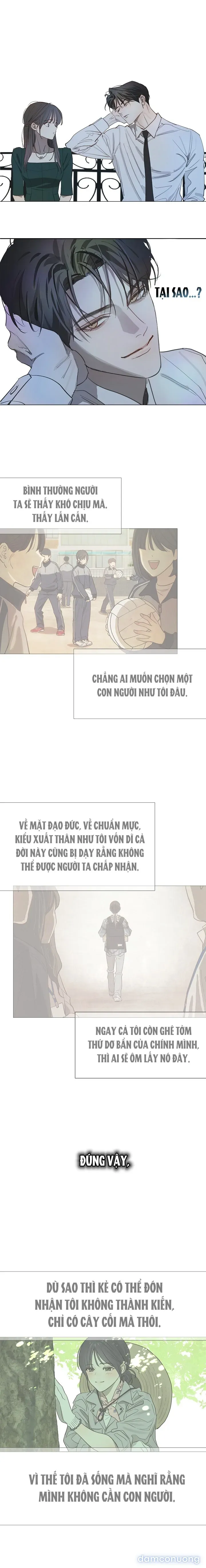 đọc truyện [end Ss1] Đóa Hoa Là Mồi Nhử Chương 36 ảnh 7 tại Thiên Thai Truyện