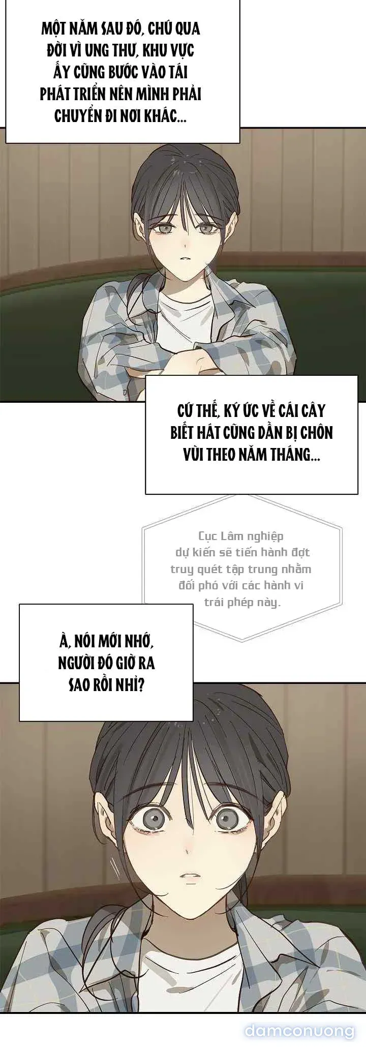 đọc truyện [end Ss1] Đóa Hoa Là Mồi Nhử Chương 37 ảnh 32 tại Thiên Thai Truyện