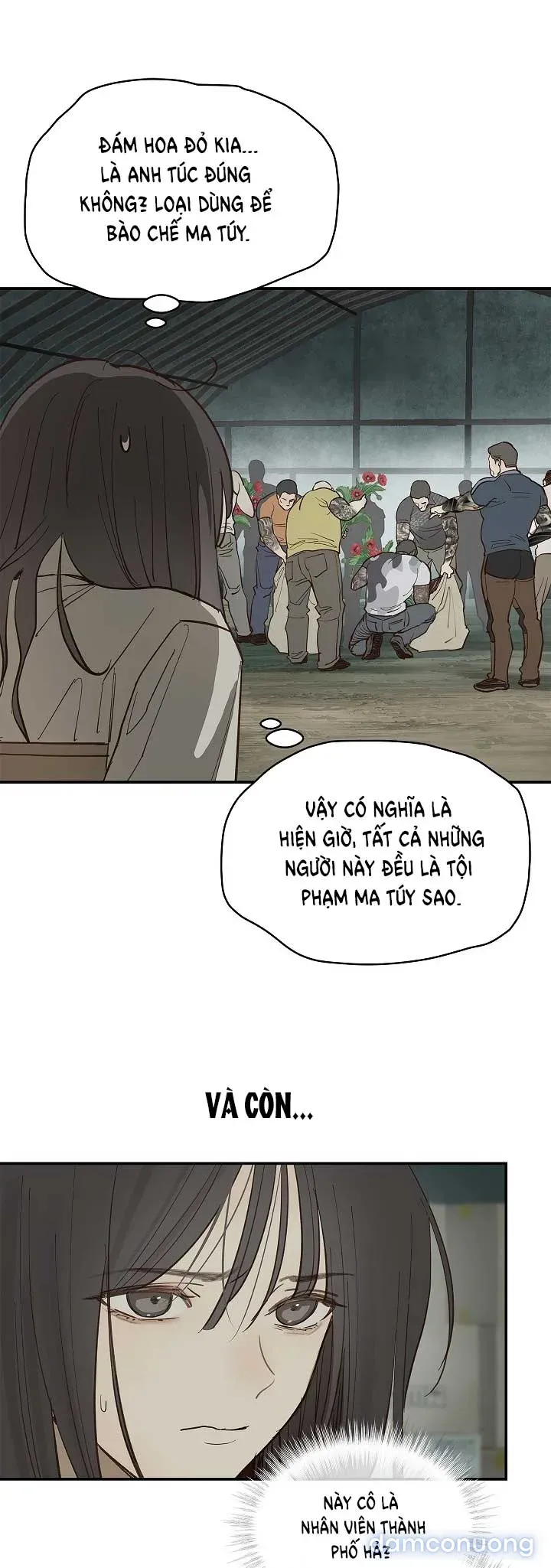 đọc truyện [end Ss1] Đóa Hoa Là Mồi Nhử Chương 41 ảnh 9 tại Thiên Thai Truyện