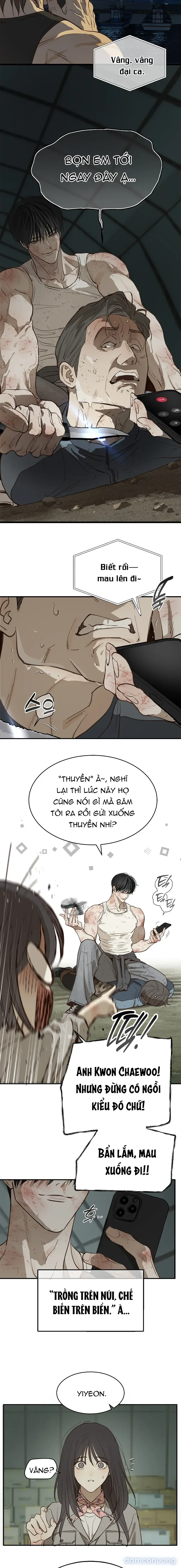đọc truyện [end Ss1] Đóa Hoa Là Mồi Nhử Chương 42 ảnh 7 tại Thiên Thai Truyện