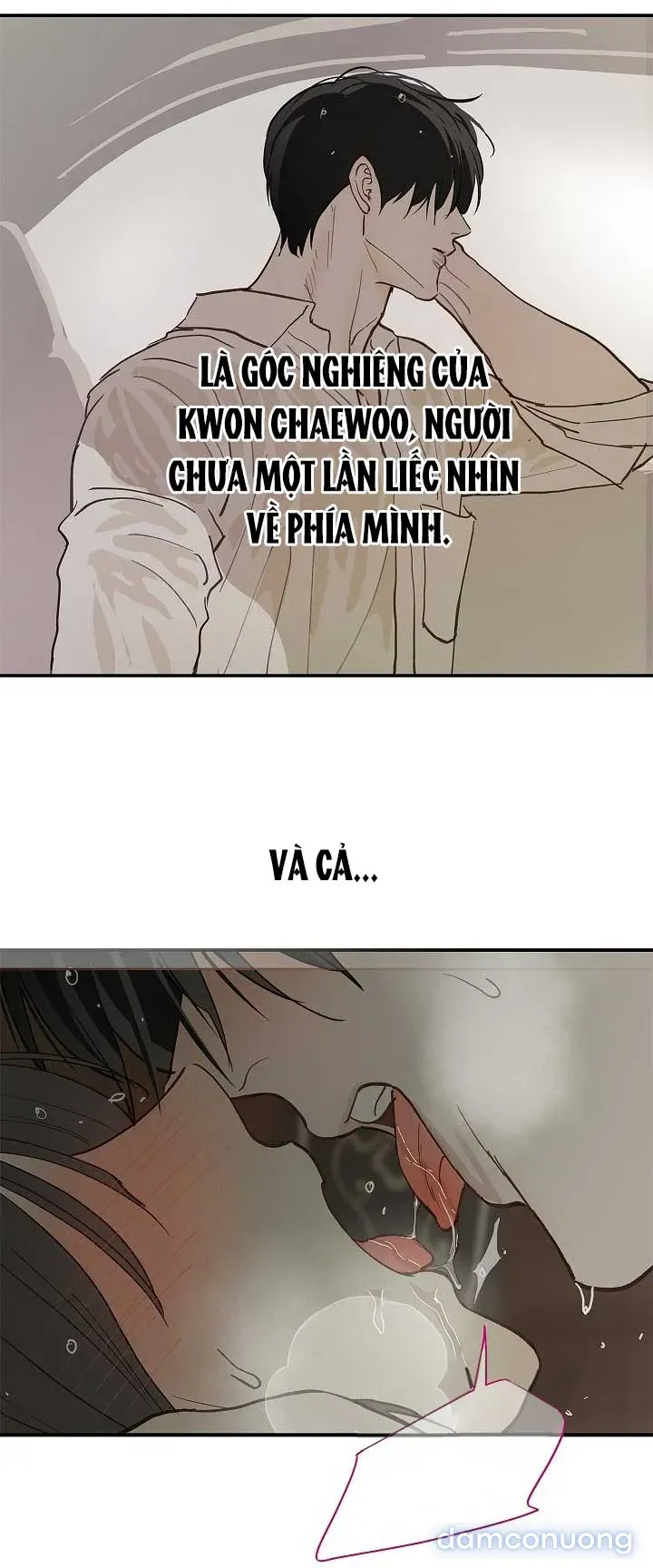 đọc truyện [end Ss1] Đóa Hoa Là Mồi Nhử Chương 47 ảnh 65 tại Thiên Thai Truyện