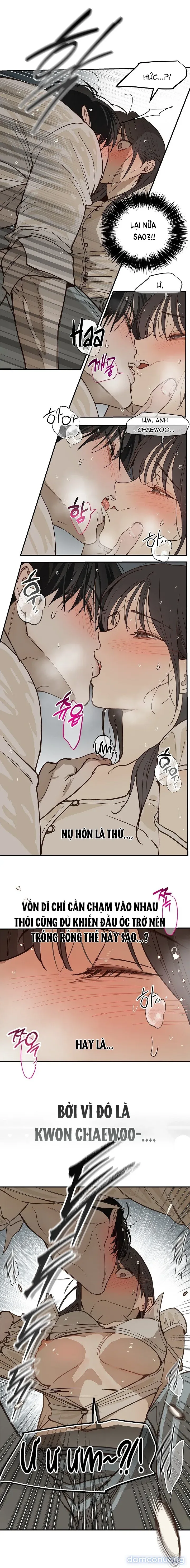 đọc truyện [end Ss1] Đóa Hoa Là Mồi Nhử Chương 48 ảnh 4 tại Thiên Thai Truyện