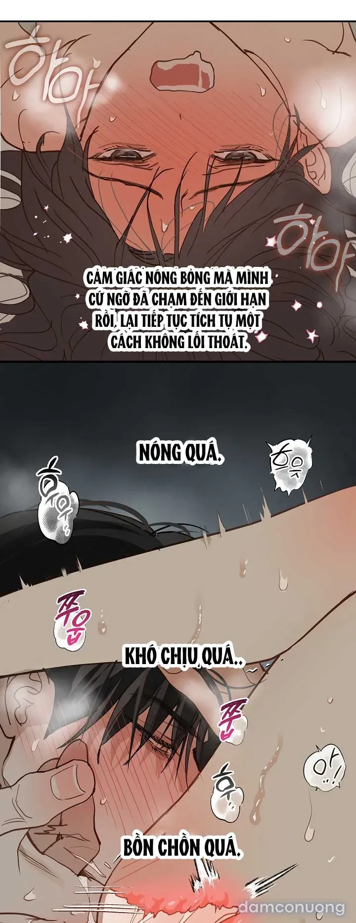 đọc truyện [end Ss1] Đóa Hoa Là Mồi Nhử Chương 49 ảnh 21 tại Thiên Thai Truyện
