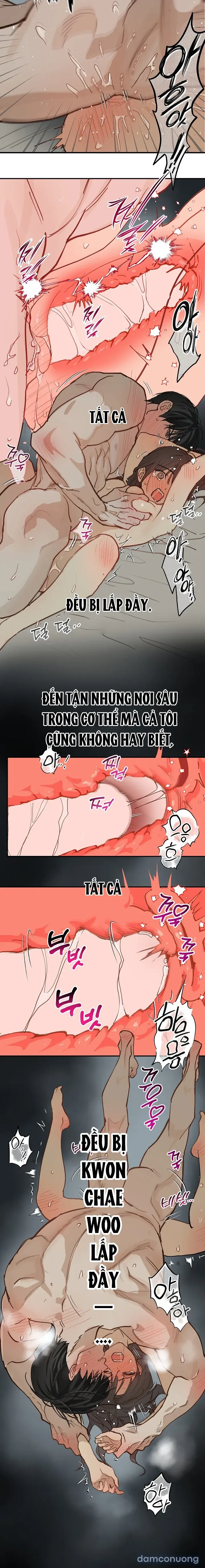 đọc truyện [end Ss1] Đóa Hoa Là Mồi Nhử Chương 50 ảnh 12 tại Thiên Thai Truyện