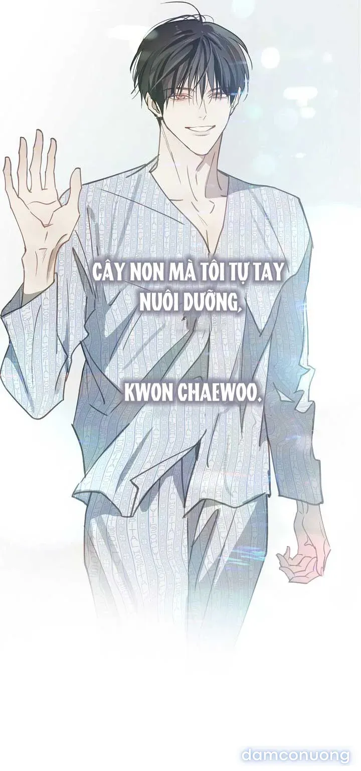 đọc truyện [end Ss1] Đóa Hoa Là Mồi Nhử Chương 51 ảnh 52 tại Thiên Thai Truyện
