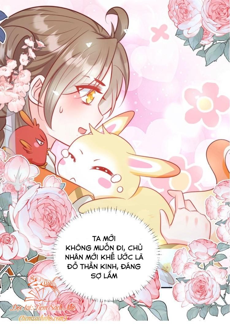 đọc truyện [end] Tiểu Sư Muội Rõ Ràng Rất Mạnh Nhưng Lại Quá Tấu Hề Chương 75 ảnh 8 tại Thiên Thai Truyện