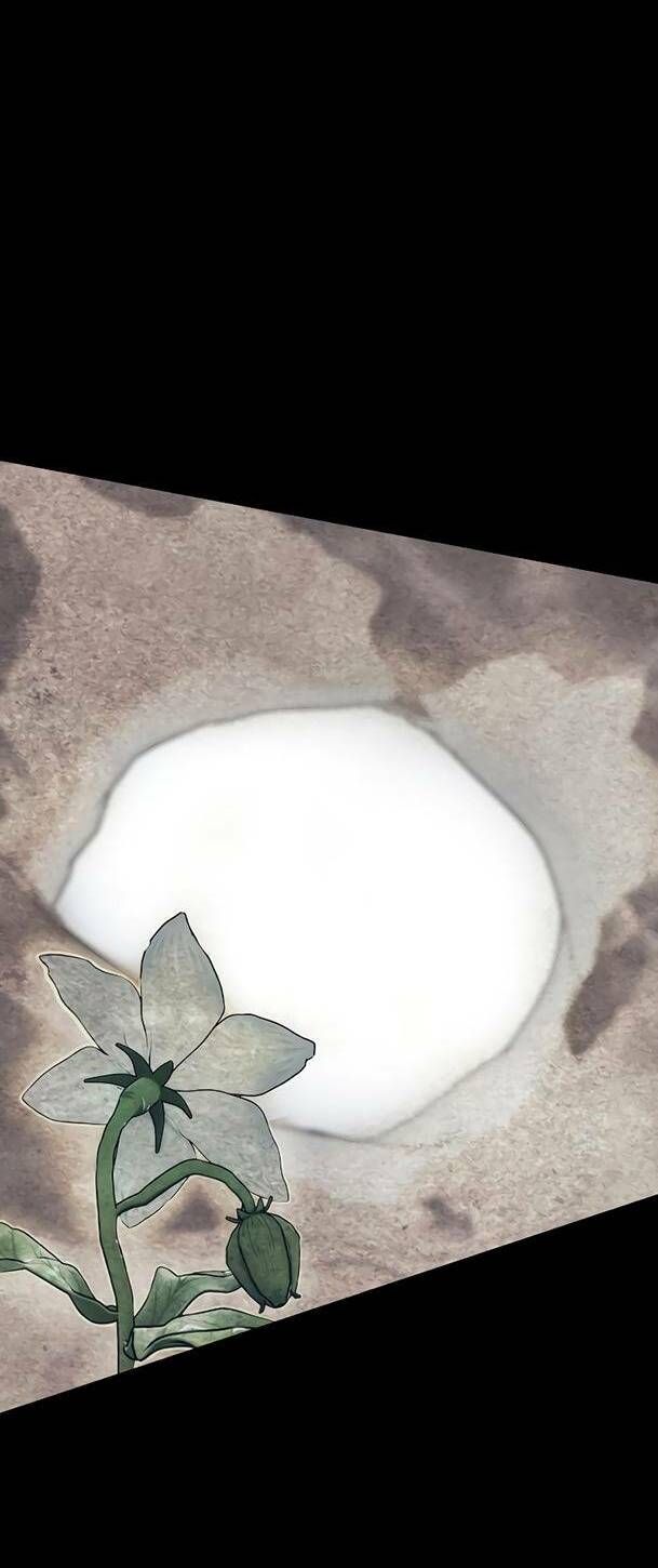 đọc truyện Ex & Ash Chương 70 ảnh 118 tại Thiên Thai Truyện