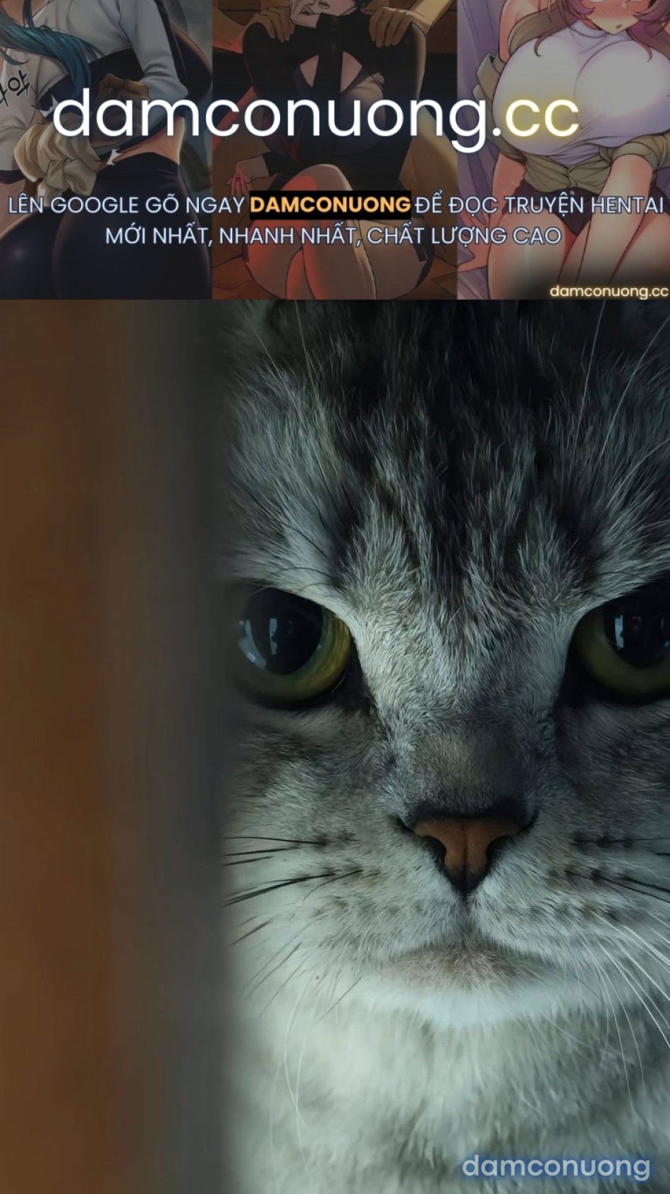 đọc truyện Family Chương 6 ảnh 2 tại Thiên Thai Truyện