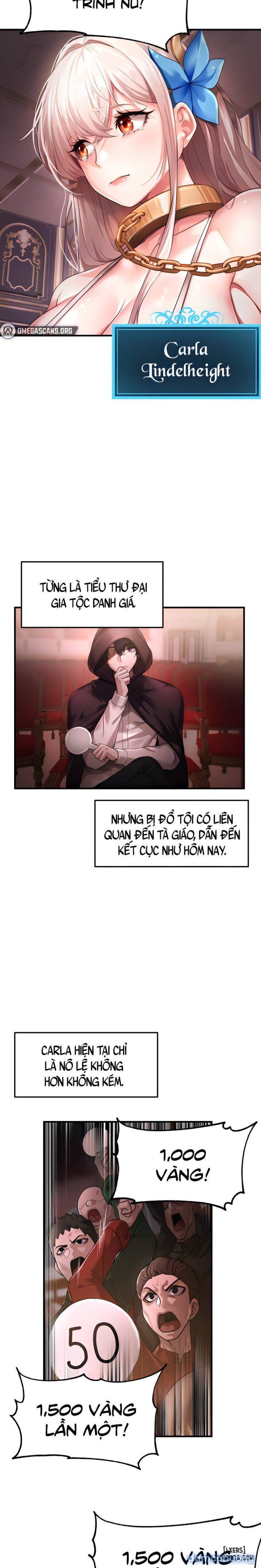 For Sale: Fallen Lady, Never Used Chương 1 page 2 - Giả Dược