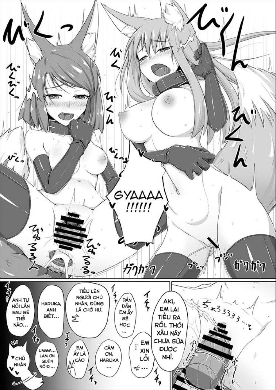 Fox Maniax Chương 1 page 18 - Giả Dược