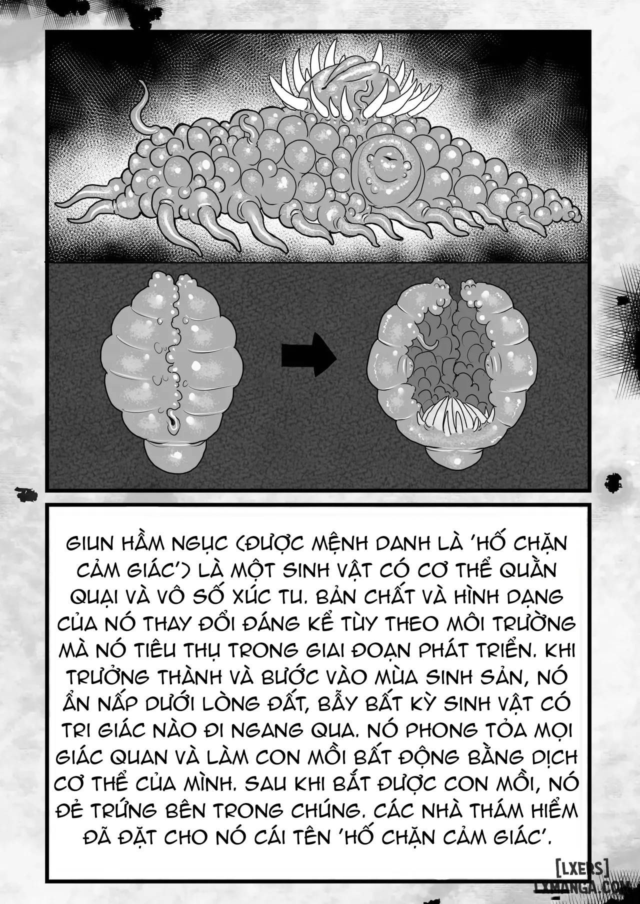 đọc truyện Frieren And The Sensory Deprivation Hole Chương 2 ảnh 14 tại Thiên Thai Truyện