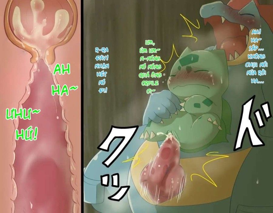 Fushigidane X Ordile Chương 1 page 13 - Giả Dược